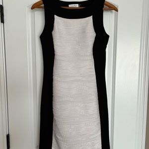 Calvin Klein Dress